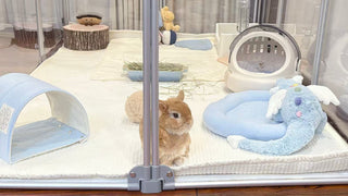 沢山使っています。