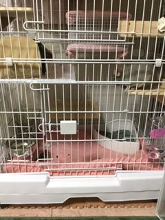 商品のご感想
