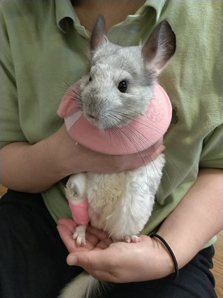いろいろな感想です。