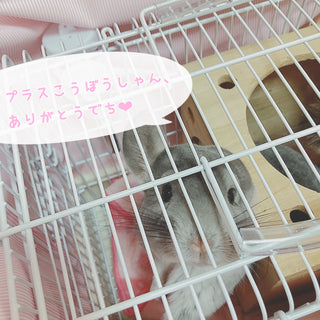 オーダートートバッグ