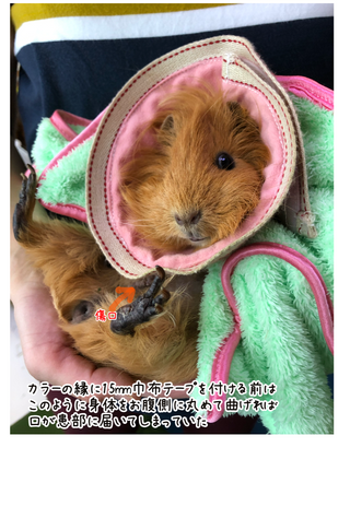 パステルの使用後