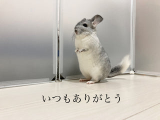 がんばっています。
