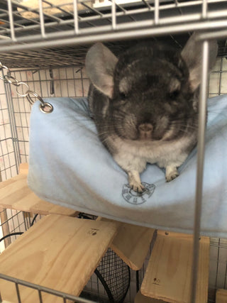 トンネルモック