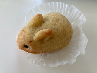 うさぎ