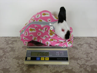 うさぎの体重測定