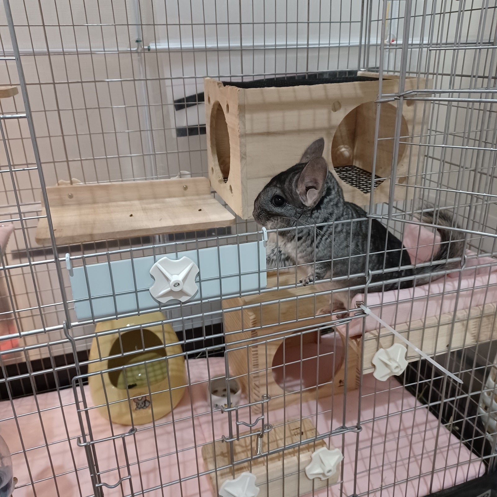 コーナーステージM用マット‐うさぎとチンチラの飼育用品