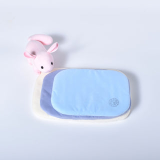 ＊マット　キャリー用　ＬＬサイズ