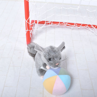 ＊ボール／カラフル　