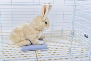 うさぎと保冷ポーチ　使用例