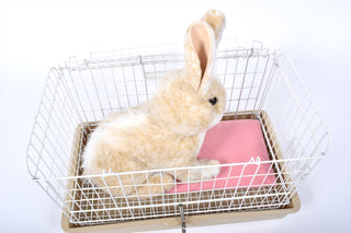 うさぎと保冷剤ポーチ　ライトキャリー内で使用例