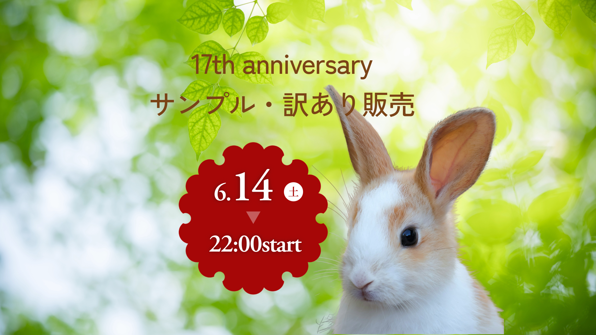 山葡萄蔓　うさぎのおくち様専用 山葡萄蔓 うさぎのおくち様専用