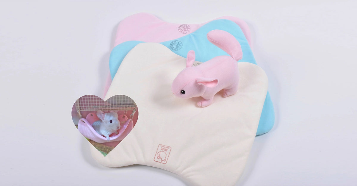 うさぎとチンチラをはじめ、小動物のからだにやさしいオリジナルケア うさぎとチンチラをはじめ、小動物のからだにやさしいオリジナルケア