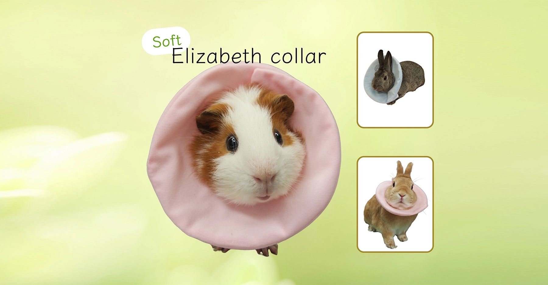 うさぎとチンチラをはじめ、小動物のからだにやさしいオリジナルケア うさぎとチンチラをはじめ、小動物のからだにやさしいオリジナルケア