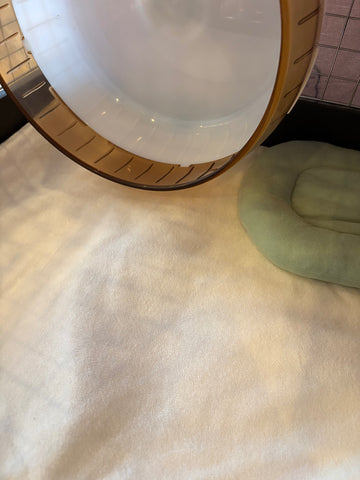 チンチラの足裏の保護のために | #1692976