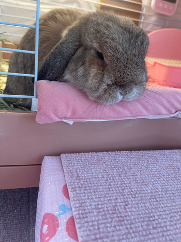 足かけるの防止 | #1887972