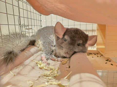 お気に入りの場所 | #1946574