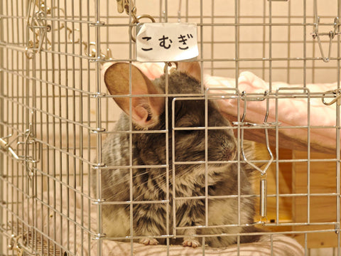 お気に入りの場所 | #1946574