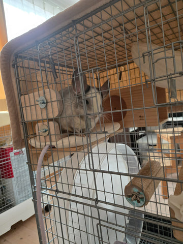 気に入ってます | #1975587