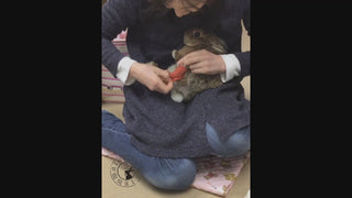 うさぎのソアホック用靴下の脱がせ方